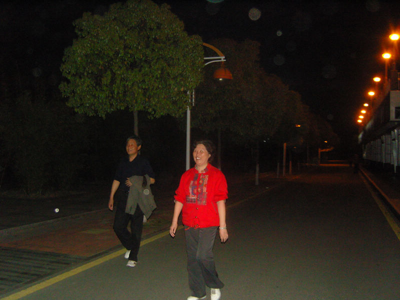 snc10010.jpg