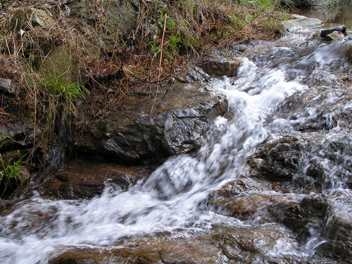 pict0179_С.jpg