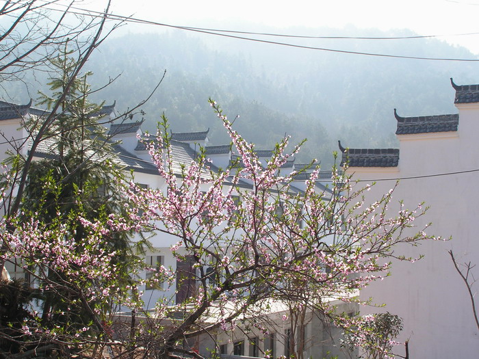 pict0180_С.jpg