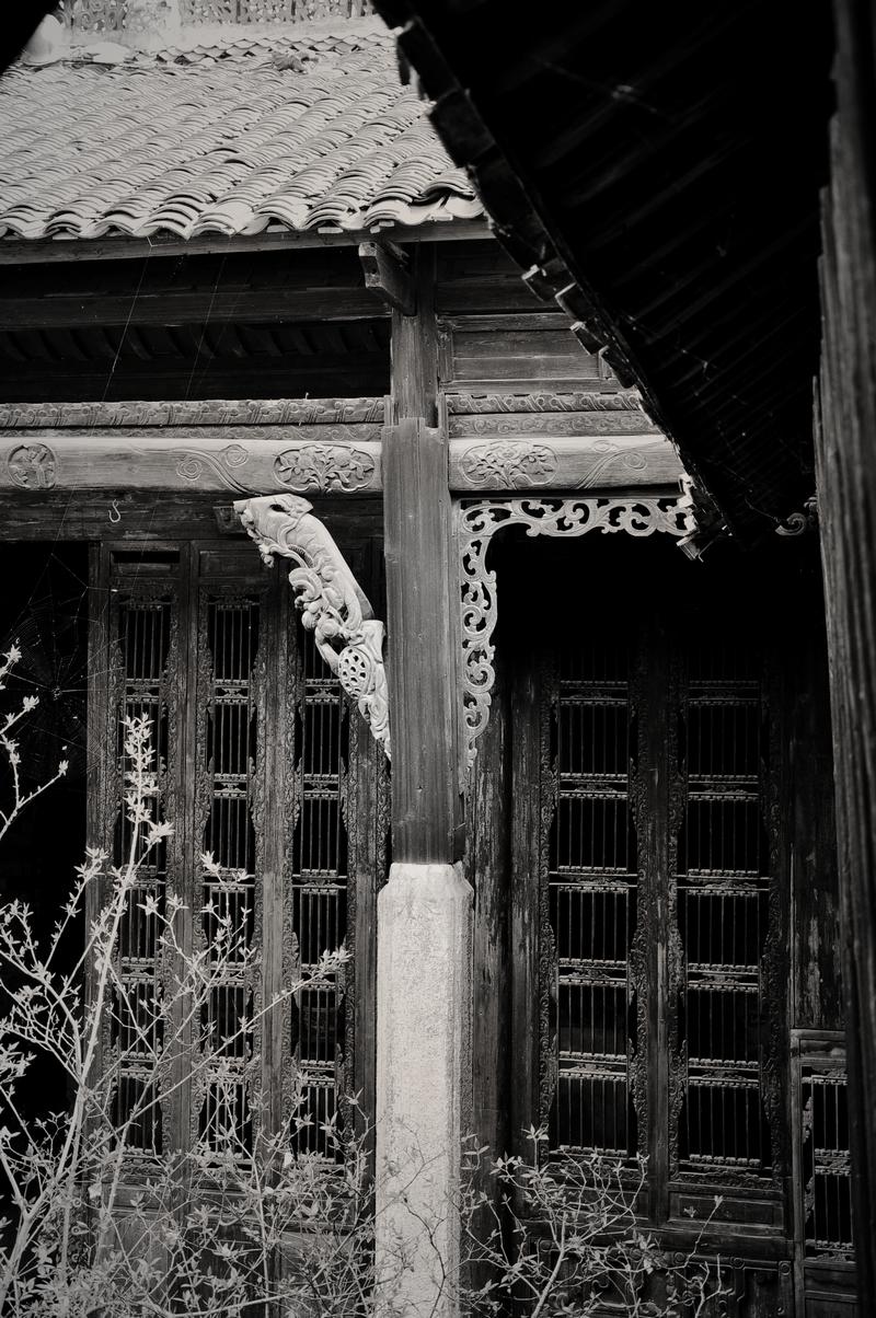 a-dsc_1992.jpg