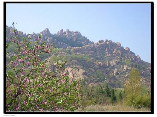 dscn6003.jpg