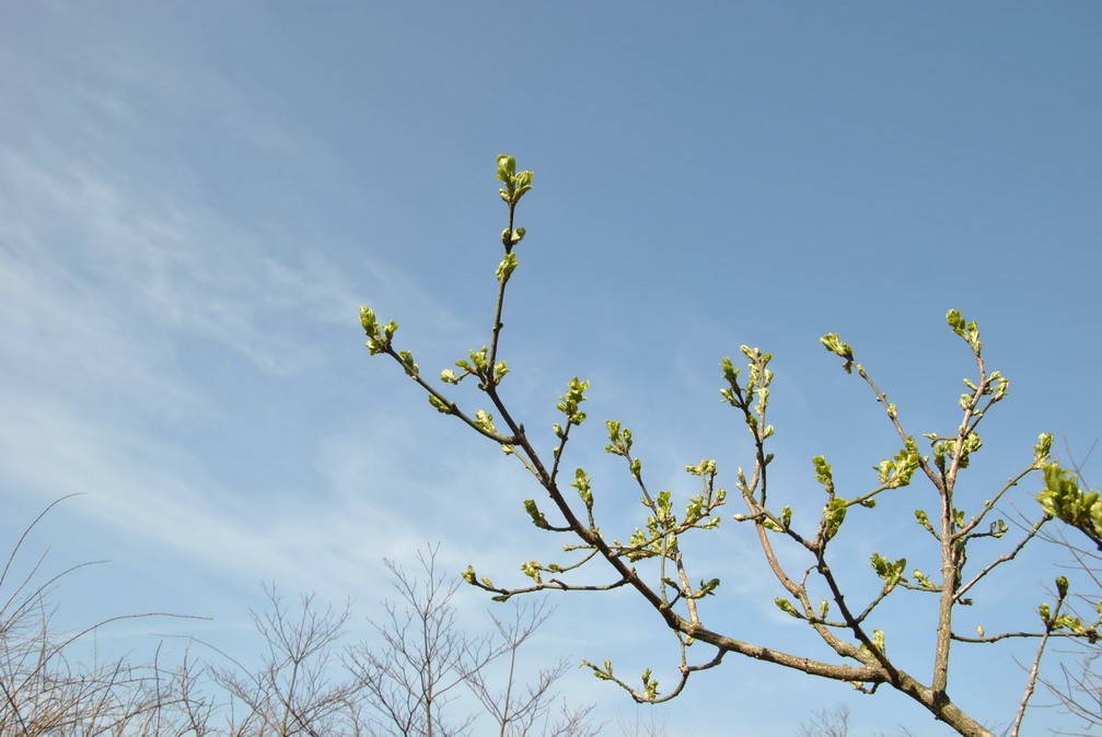 p 169.jpg