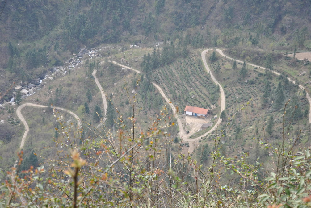 p 242.jpg