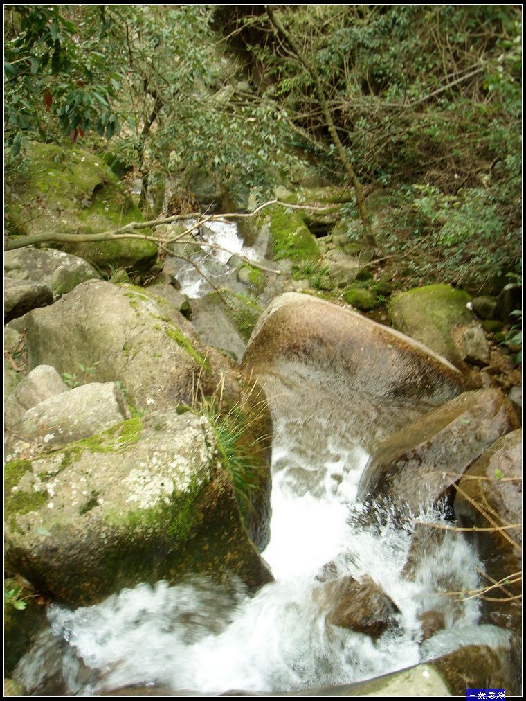 neo_img_dsc01459.jpg