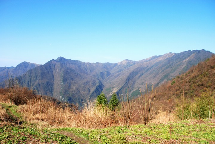 dsc_0100.jpg