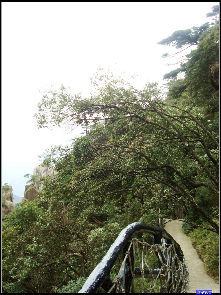 neo_img_dsc01648.jpg