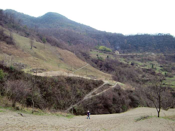 cimg8804.jpg