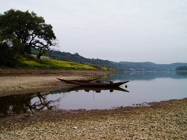 p1011070.jpg