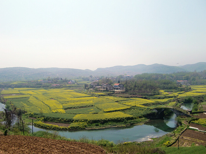 cimg8936.jpg