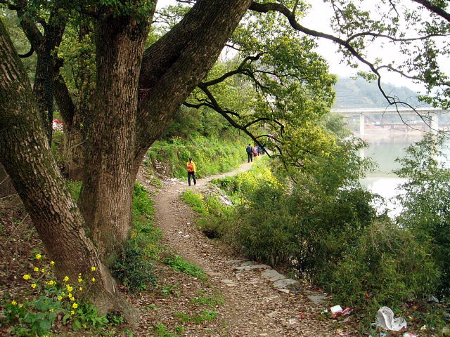 p1011089.jpg