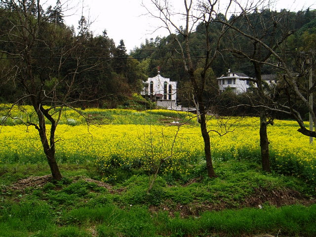 p1011110.jpg
