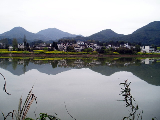 p1011116.jpg