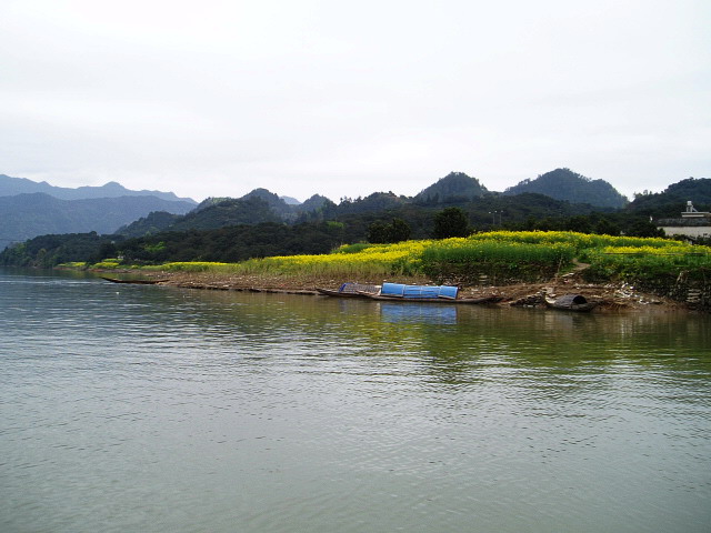 p1011129.jpg