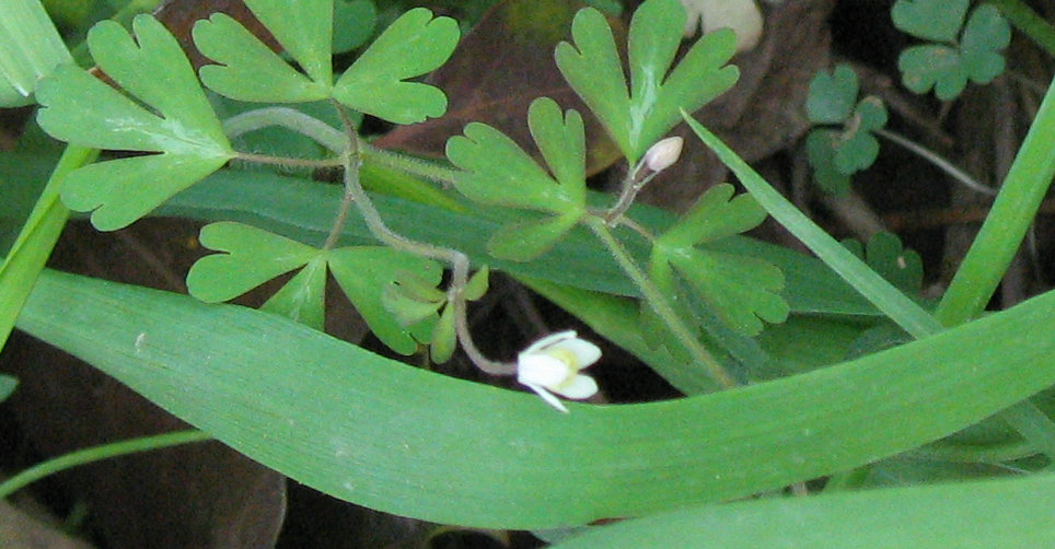 img_4824a.jpg