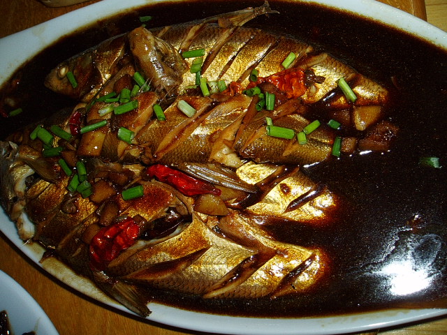 p1011142.jpg