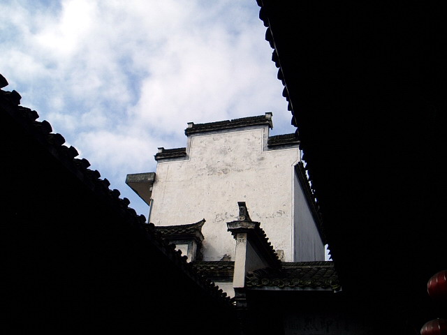 p1011146.jpg