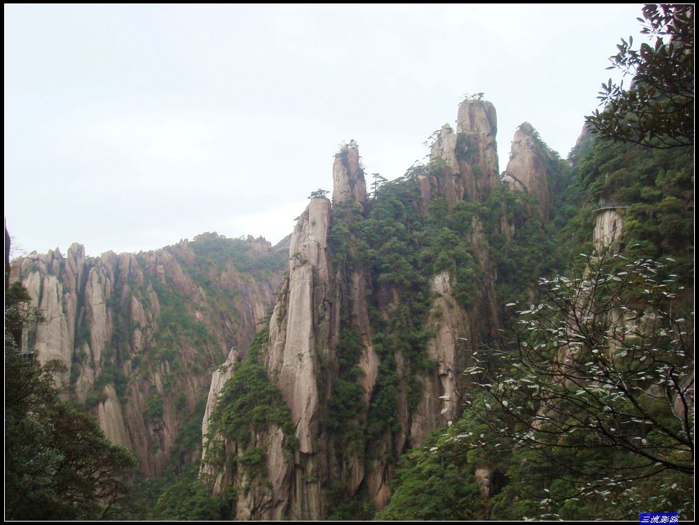 neo_img_dsc01713.jpg
