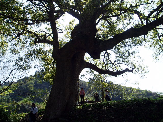 p1011163.jpg