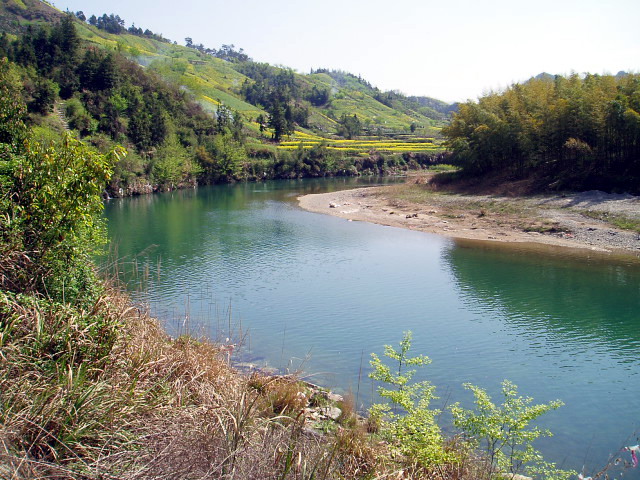 p1011164.jpg