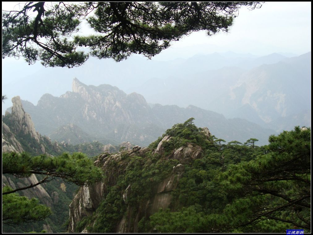 neo_img_dsc01698.jpg