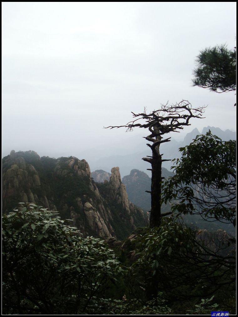 neo_img_dsc01703.jpg