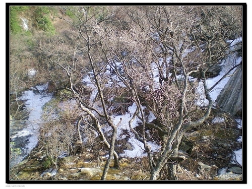 dscn6031.jpg