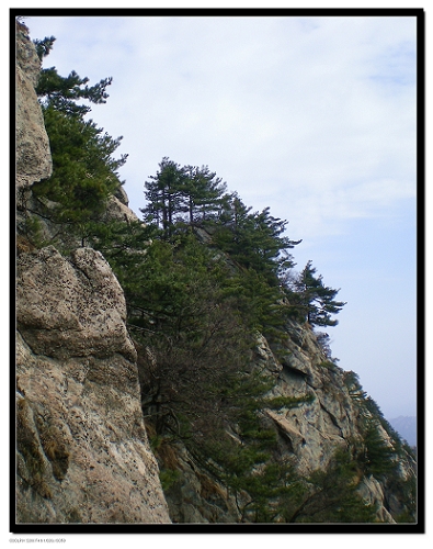 dscn6113.jpg