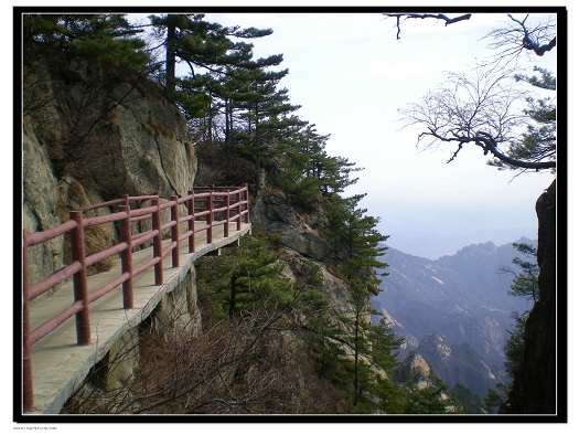 dscn6115.jpg