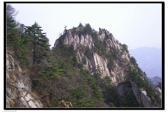 dscn6119.jpg