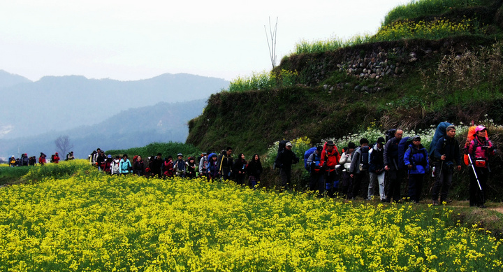 dscf7082.jpg