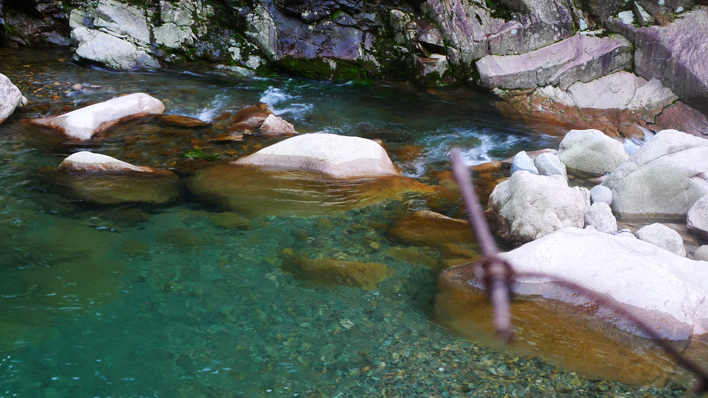 p1020837.jpg