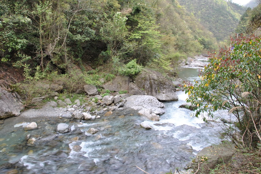 p 050.jpg