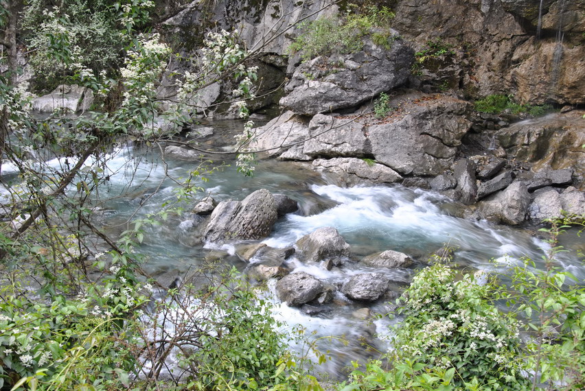 p 051.jpg