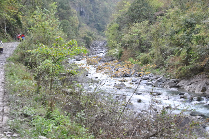 p 052.jpg