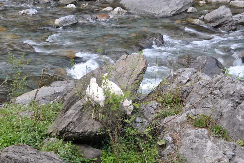 p 062.jpg
