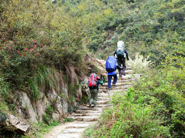 dscf7088.jpg
