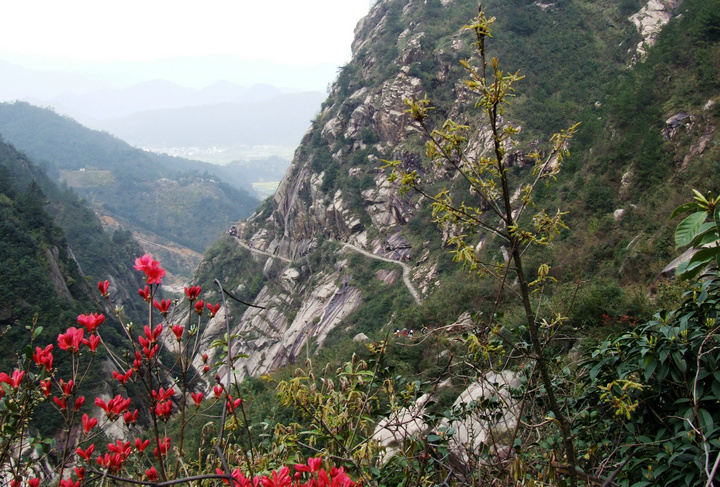 dscf7095.jpg