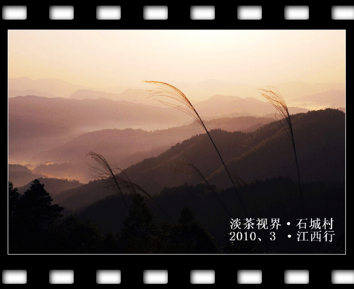 dsc_1239_Ӱ_1.jpg