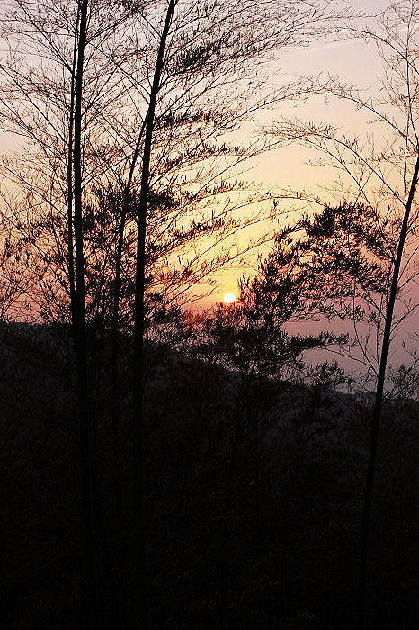 img_6547.jpg