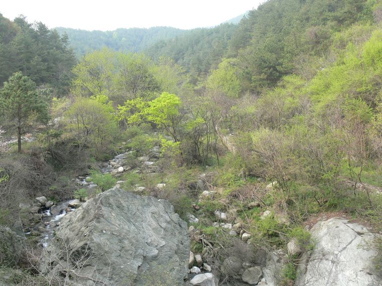 p1090662.jpg