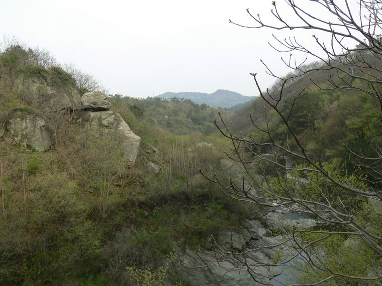 p1090663.jpg