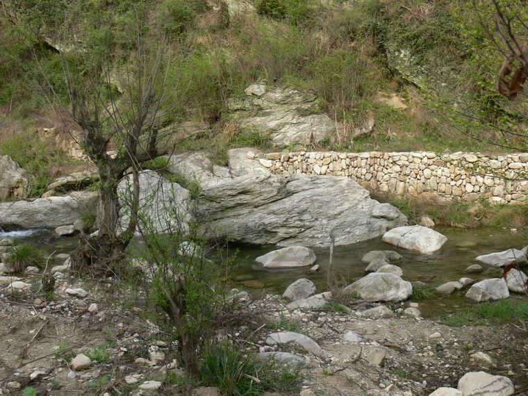 p1090659.jpg