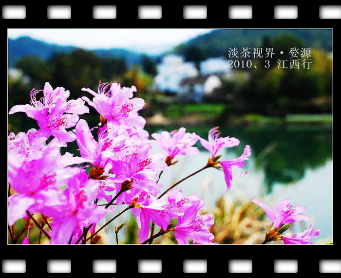dsc_0974_Ӱ_1.jpg