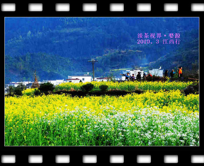 dsc_1048_Ӱ_1.jpg