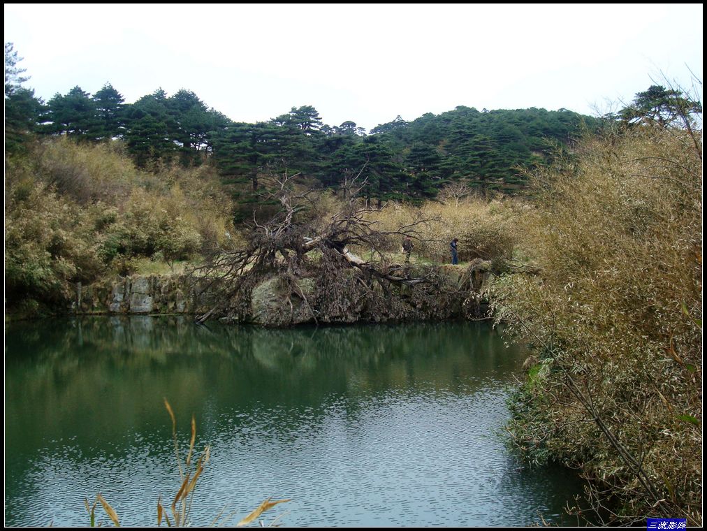 neo_img_dsc01792.jpg
