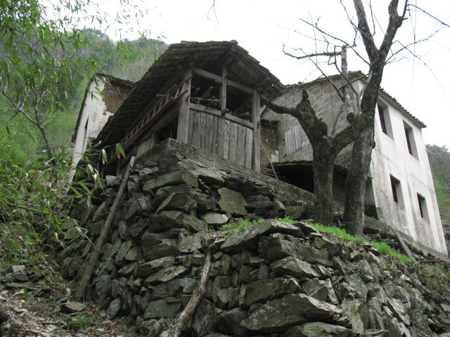 img_2981.jpg