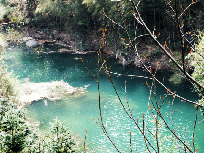dscf7101.jpg