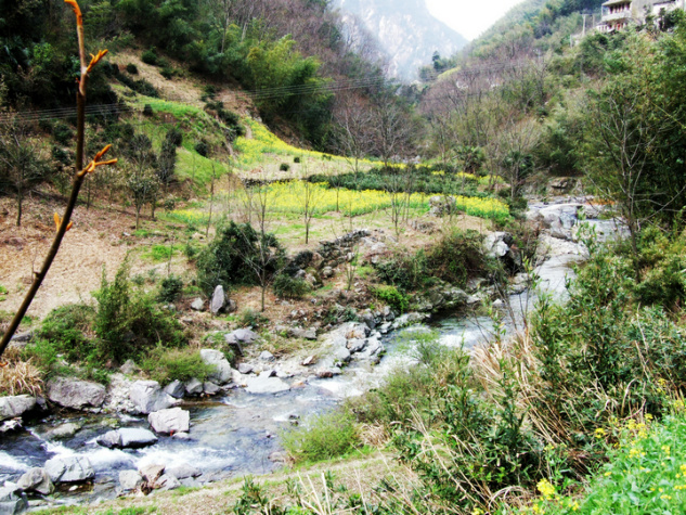 dscf7104.jpg