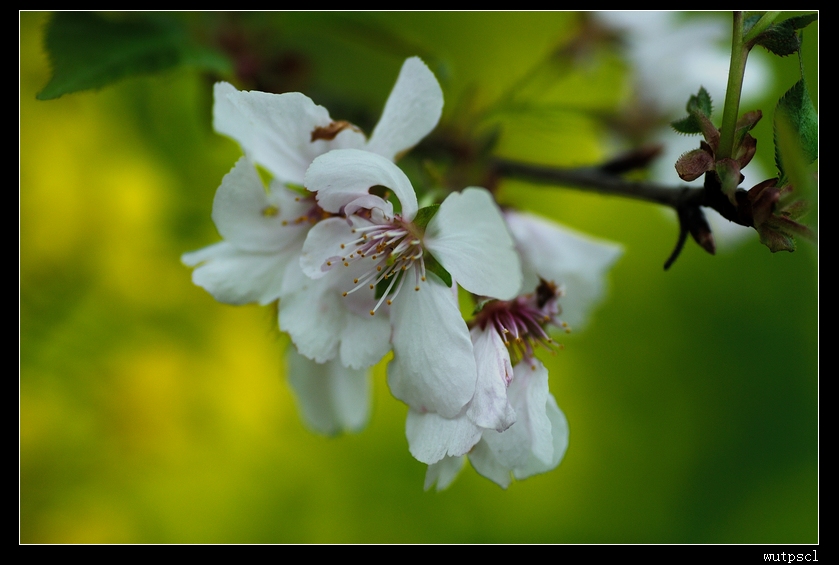 dsc_7682044.jpg