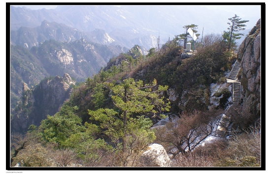 dscn6163.jpg
